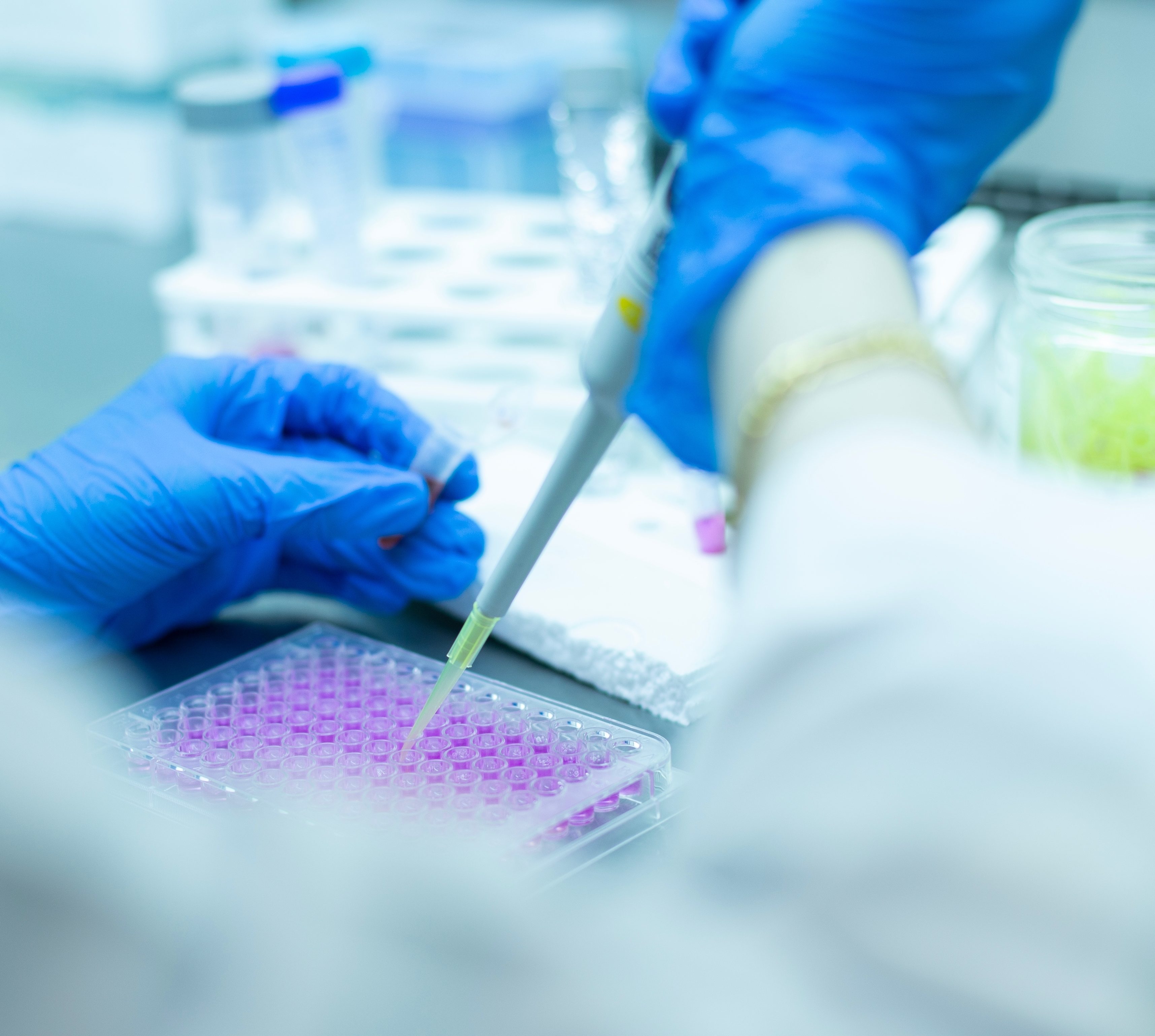 La SAI saluda el avance científico de Mariano Barbacid: un hito que reafirma la importancia de la academia y la investigación en la salud global