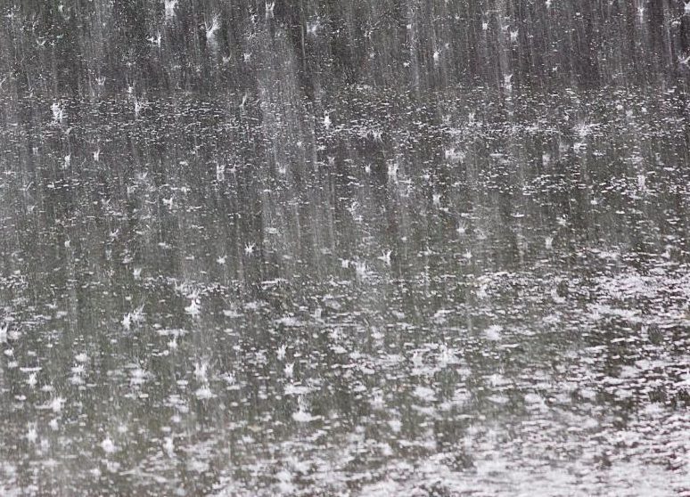 Caminar bajo la lluvia: un hábito saludable que puede beneficiar a los adultos mayores